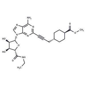 Apadenoson