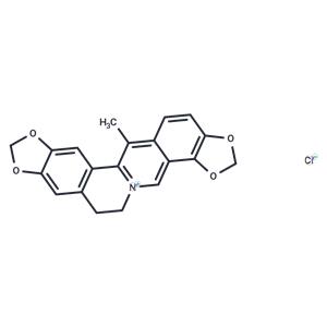 Corysamine chloride