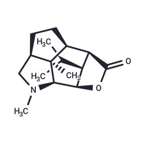 Dendrobine