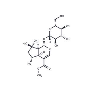 Shanzhiside methyl ester