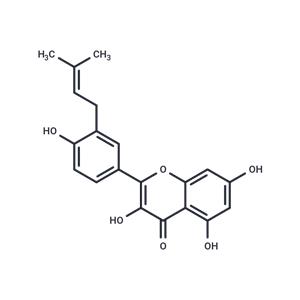 Isolicoflavonol