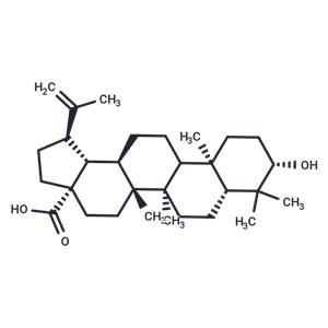 Betulinic acid (Mairin; Gratiolone; Platanol)