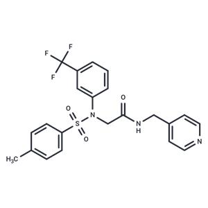 RORγ inverse agonist 1