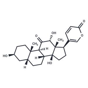 Pseudobufarenogin