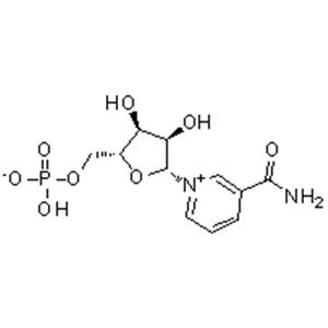 β-Nicotinamide Mononucleotide