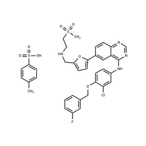 Lapatinib tosylate