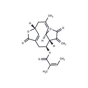 Isoscabertopin