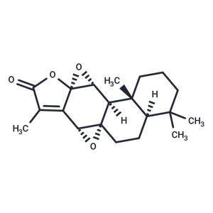 Jolkinolide B