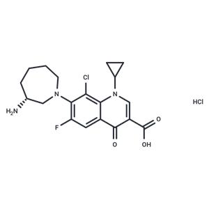 Besifloxacin Hydrochloride