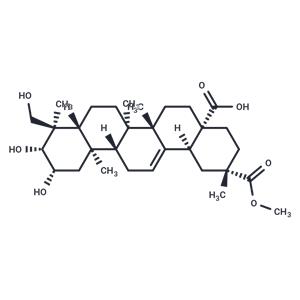 Phytolaccagenin