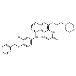 Tuxobertinib