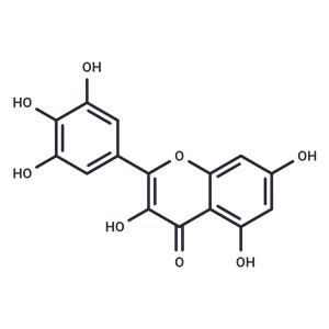 Myricetin