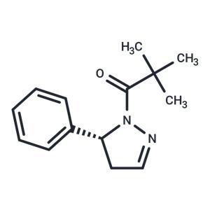 GSK962