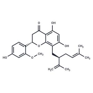 Leachianone A