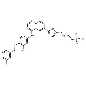 Lapatinib