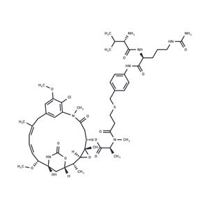 vc-PABC-DM1