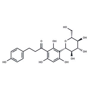 Nothofagin