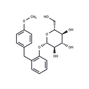 Sergliflozin A