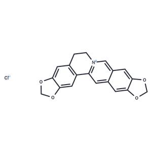 Pseudocoptisine chloride