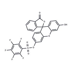 CeMMEC1 HCl