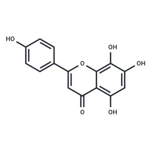 8-Hydroxyapigenin