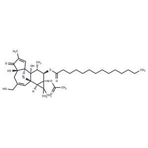 Phorbol 12-myristate 13-acetate