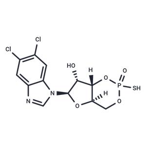 Sp-5,6-DCl-cBIMPS