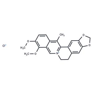 13-Methylberberine chloride