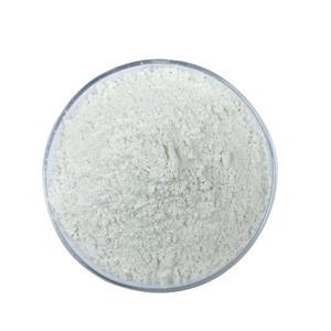 Salicylic Acid Powder