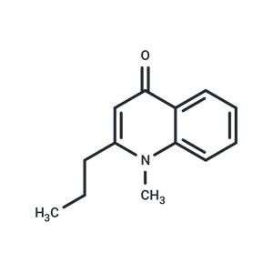 Leptomerine