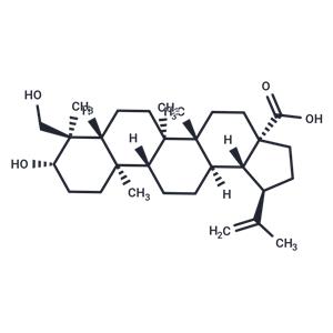 23-Hydroxybetulinic acid