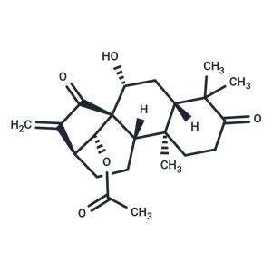 Glaucocalyxin B