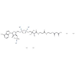 Acetoacetyl Coenzyme A sodium hydrate