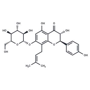 Phellamurin