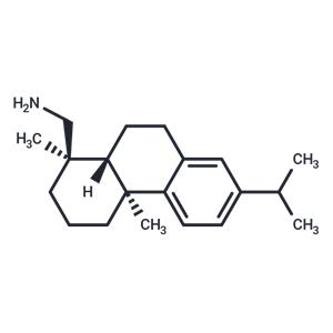 Dehydroabiethylamine