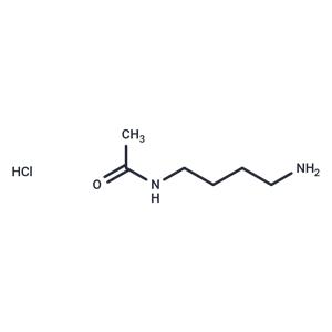 N-Acetylputrescine hydrochloride