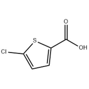 5-Chloro-2-thiophenecarboxylic acid