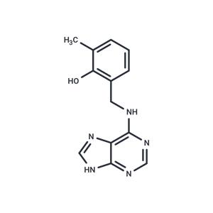 PI-55