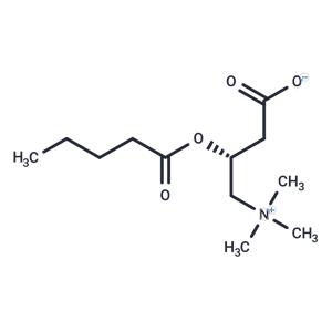 Valerylcarnitine