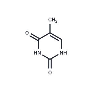 Thymine