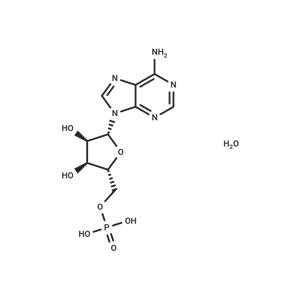 Adenosine 5'-monophosphate monohydrate