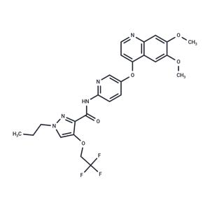 Adrixetinib