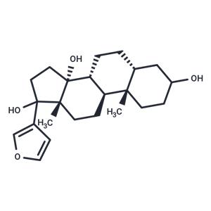 Rostafuroxin