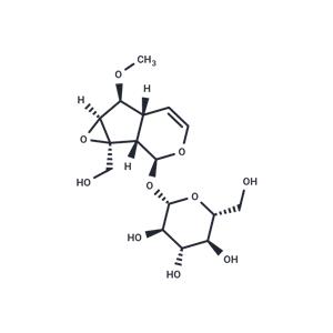 6-O-Methylcatalpol