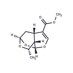 Sarracenin