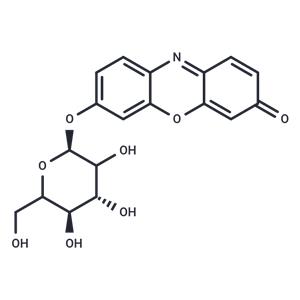 resorufin galactopyranoside