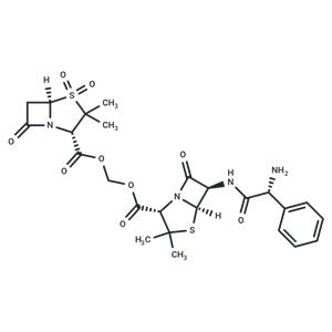 Sultamicillin