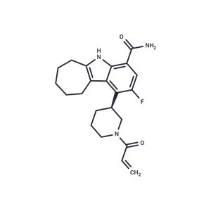 Cinsebrutinib