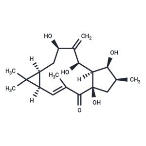 7beta-Hydroxylathyrol