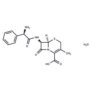 Cephalexin monohydrate